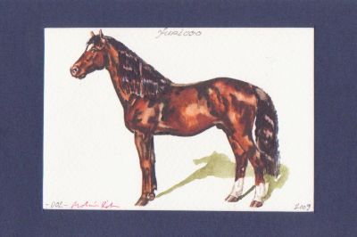 furioso
