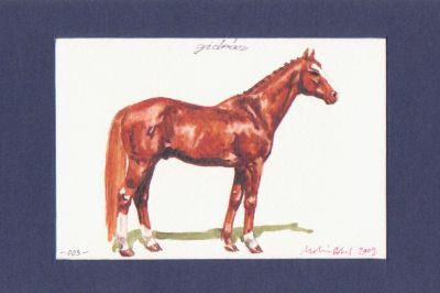 gidrán
